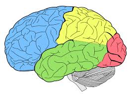 mental aritmetiğin zararları