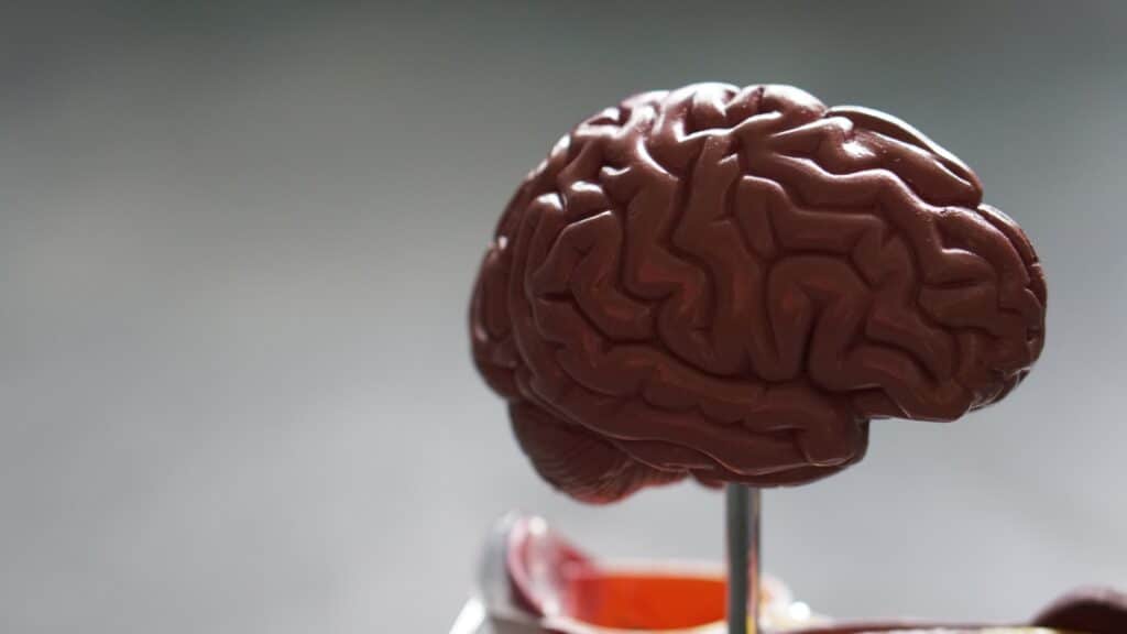Mental aritmetik
